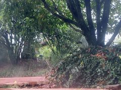 -咸宁万豪温泉谷度假区