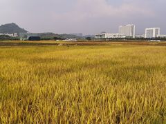 -光明小镇欢乐田园