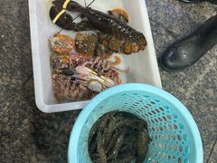 -阿浪海鲜连锁•海鲜加工•老字号(第一市场店)