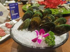 -东海怡品海鲜豆捞(舟宿夜江店)