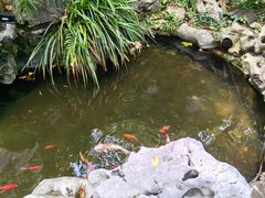 -莹珠阁·私房菜