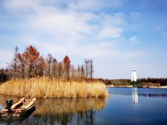 -东平国家森林公园