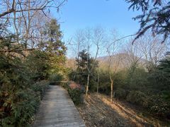 -南京老山国家森林公园