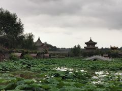 -渭南桃花源民俗文化园