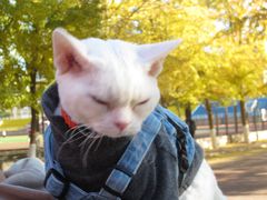 -辽宁大学(崇山校区)