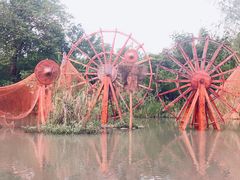 -同里国家湿地公园