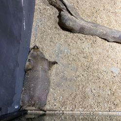 -酷嗒动物文化乐园(cutezoo西溪乐天城店)