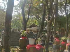 -土砂锅生态山庄·非遗砂锅雅鱼