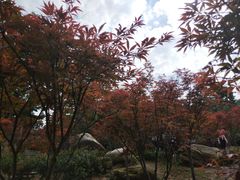 -广州市帽峰山景区