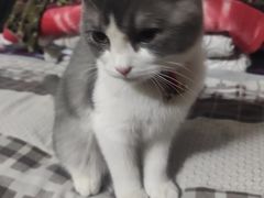 -爱侣宠医·鹦鹉专科·小型哺乳类·异宠专科(灵石路店)