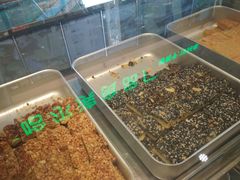 -采芝斋(延安路店)