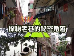 -长洲岛