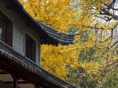 -伯先公园