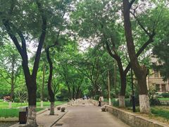 -山东大学(趵突泉校区)