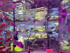 -三旗百汇商品城