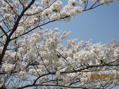景点-上海市龙华烈士陵园