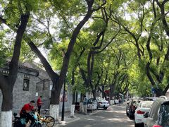 -北京国子监胡同