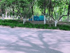 -永定河休闲森林公园