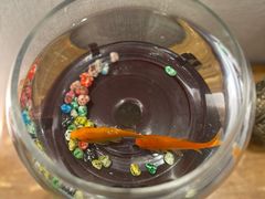 -顺味凤城·顺德菜专门店(九六广场店)