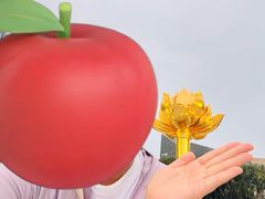 -金莲花广场