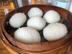 茨毛圆子-双塔老饭店