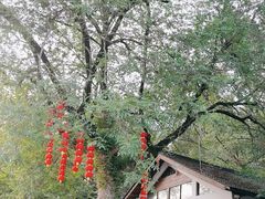 -灵栖洞天