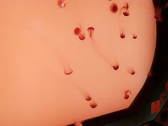 -沈阳海洋探索中心