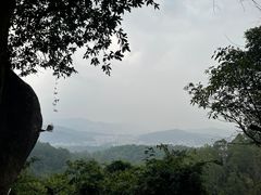-火炉山森林公园