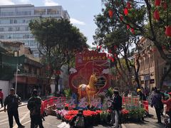 -越秀西湖花市(广州城市广场花卉店)