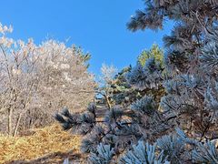 -浙西天池景区
