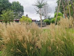 -仙海旅游度假区