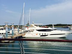 -日照世帆赛基地