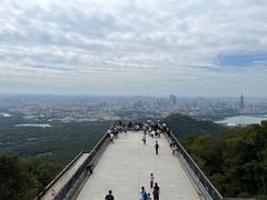 -紫金山山顶公园