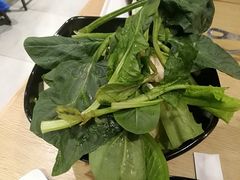 -新辣道鱼火锅(领展购物广场·中关村店)