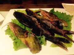 黄辣丁-杨家火锅(国美店)