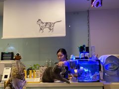 -平行世界·猫咖(首经贸店)