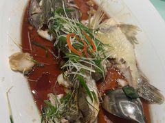 -香丰阁·烤鸭·川湘菜(清河店)
