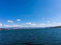 -才村湿地公园