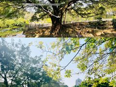 -晓港公园