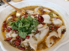 招牌花椒鱼-龟兹KUCINA·新疆菜(前滩L+PLAZA店)