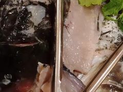 -蜀滋香鲜鱼美蛙火锅(339店)