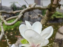 -南山植物园