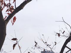 -山东五莲大青山风景区