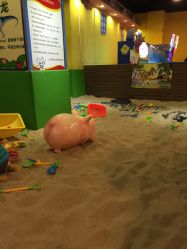 -卡通尼·Safari非洲探索乐园·生日会(金桥国际商业广场店)