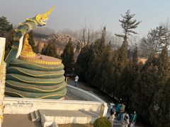 -洛阳白马寺