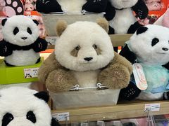 -熊猫邮局(少城店)