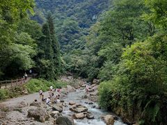-西岭雪山大飞水景区