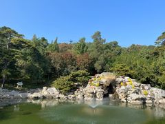 -香山公园