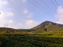 -龙坞茶村