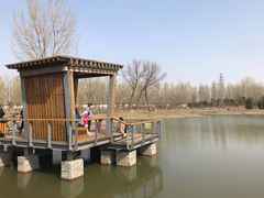 -东郊湿地公园
